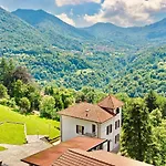 Oleandra - Dizzasco
