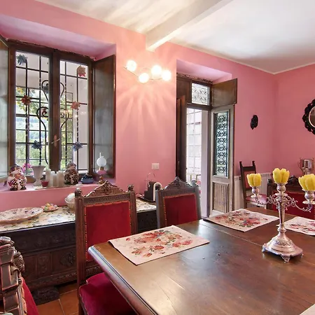 Oleandra - * Dizzasco