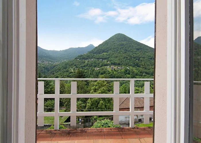 Oleandra - * Dizzasco